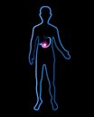Vector isolated illustration of a person with a stomach sign.