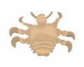 Vector isolated illustration of pubic louse.