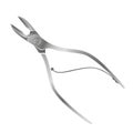 Vector isolated illustration of realistic nail nippers.