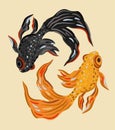 Vector isolated illustration of two fishes, golden and black, floating in circles