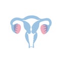 Vector isolated illustration of uterus