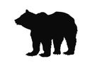 Vector isolated image of black silhouet te of a big bear