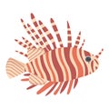 Lion fish in a light beige shade on a white background Royalty Free Stock Photo
