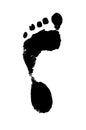 Vector isolated left foot black silhouette print on white background. Illustration of a human leg. The silhouette of a human Royalty Free Stock Photo