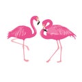 Vector isolated pink flamingos pair. Hand Drawn illustration Royalty Free Stock Photo