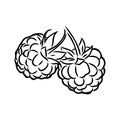 Vector isolated raspberry berries branch contour line drawing. Colorless black and white two raspberry berry colorling