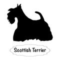 Vector isolated silhouette of scottish terrier dog on white background. Royalty Free Stock Photo