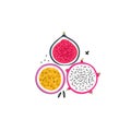 Vector isolated tropical fruits. Pitahaya or pitaya ,passion fruit, fig. Creative artistic style. It can be use for card