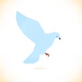 Vector isolated white bird Pigeon, dove Royalty Free Stock Photo