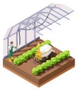 Vector isometric agricultural greenhouse weeding robot