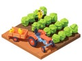 Vector isometric farmer spraying pesticides Royalty Free Stock Photo