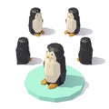 Isometric low poly penguin
