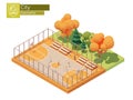 Vector isometric street basketball court