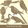 Vector items: birds