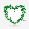 Vector Ivy branch heart illustration