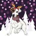 Vector jack russel terrier dog wearing reindeer antlers tiara and scarf. Isolated on snowy trees and sparklers. Sketched