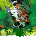 Vector Jaguar, Leopard In Jungle Rainforest