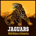 Vector Jaguar leopard Logo emblem symbol