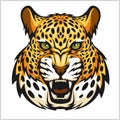 Vector jaguar portrait. Jaguars head on white background.