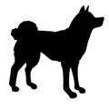 Vector Japanese akita inu dog silhouette