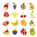 Vector juicy fruits collection