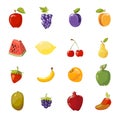 Vector juicy fruits collection over white