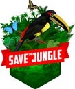 Vector jungle rainforest emblem with pale-mandibled aracari toucanet and morpho butterflies