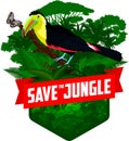 Vector jungle rainforest emblem with rainbow-billed toucan