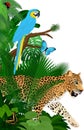 Vector jungle rainforest foliage vertical border illustration with blue macaw, jaguar and butterflies Royalty Free Stock Photo