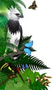 jungle rainforest foliage vertical border illustration with Harpy Eagle, python, aracari toucanet and butterflies Royalty Free Stock Photo