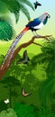 Vector Jungle rainforest vertical baner with diamond lady amherst`s pheasant and butterflies