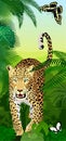 Vector Jungle rainforest vertical baner with jaguar or leopard and butterflies Royalty Free Stock Photo