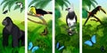 Vector Jungle rainforest vertical baner with male gorilla, pale-mandibled aracari toucanet, harpy eagle , rainbow-billed toucan a