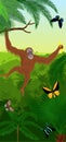 Vector Jungle rainforest vertical baner with orangutan and butterflies