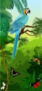 Vector Jungle rainforest vertical baner with parrot Blue and yellow Macaw and butterflies