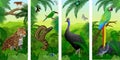Vector Jungle rainforest vertical baner with parrot, peccary, cassowary, jaguar, monkey