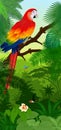 Vector Jungle rainforest vertical baner with parrot red scarlet macaw ara and hummingbirds