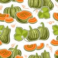 Vector Kabocha Seamless Pattern