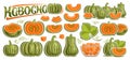 Vector Kabocha Set