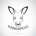 Vector of a kangaroo head on white background.