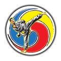 Vector Karate logo