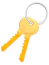 Vector key Royalty Free Stock Photo