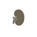 VECTOR Kidney icon. Transplantation organ sign / nephrology symbol. Vector illustration.