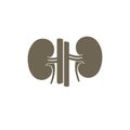 VECTOR Kidney icon. Transplantation organ sign / nephrology symbol. Vector illustration.