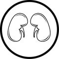 Vector kidneys icon