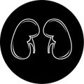 Vector kidneys icon