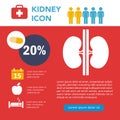 Vector Kidneys Infographics Banner Illustration