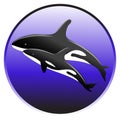 Vector killer whale swim in the ocean with a baby