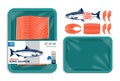 Vector king salmon packaging illustration