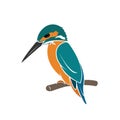 Vector of kingfisher bird design on white background. Easy editable layered vector illustration. Wild Animals